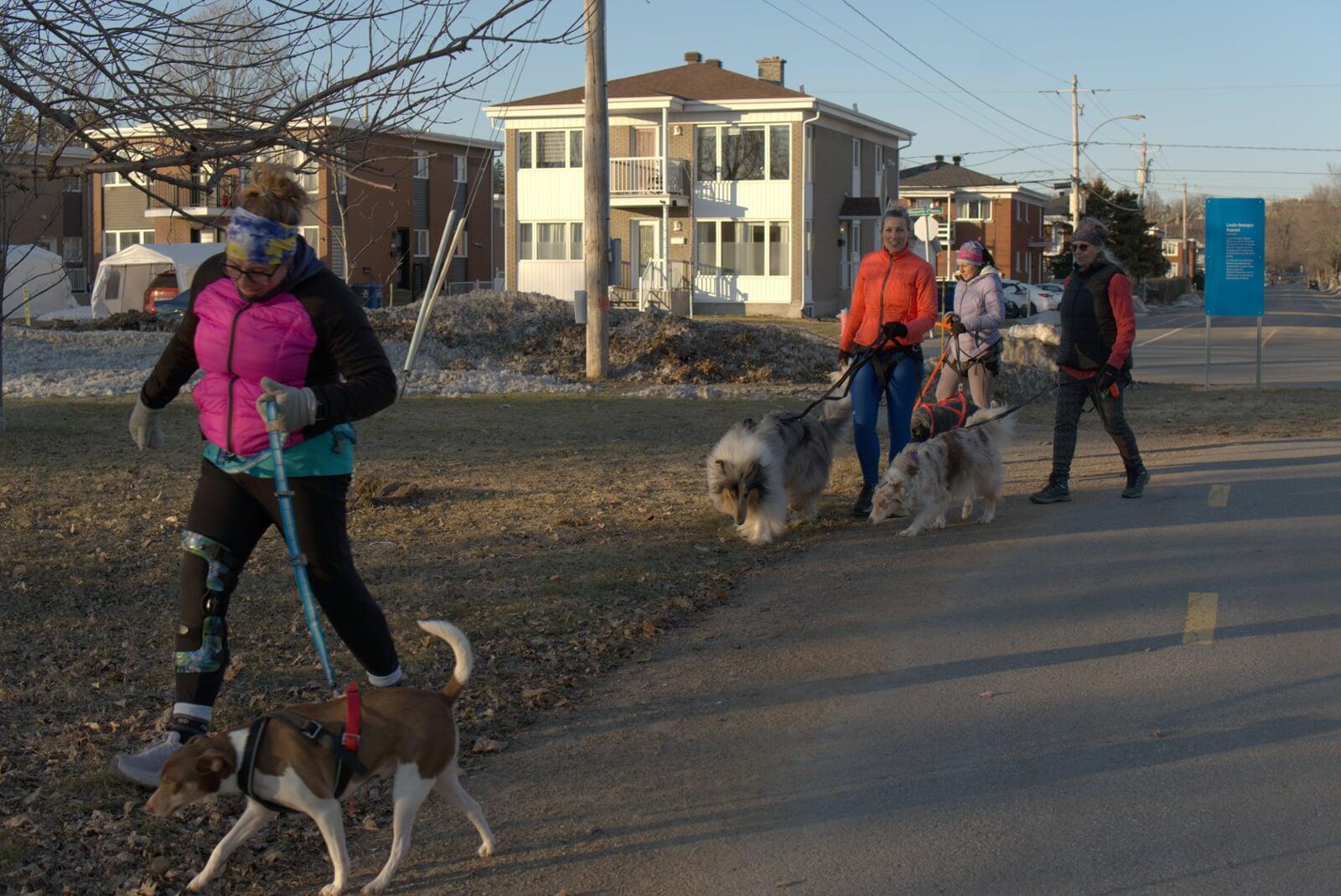Groupe de participantes s’entraînant avec leur chien à Trois-Rivières